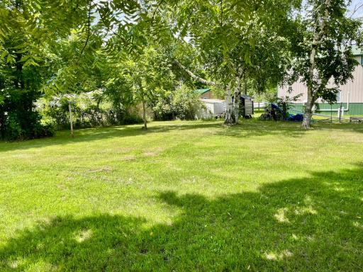 Private Back Yard