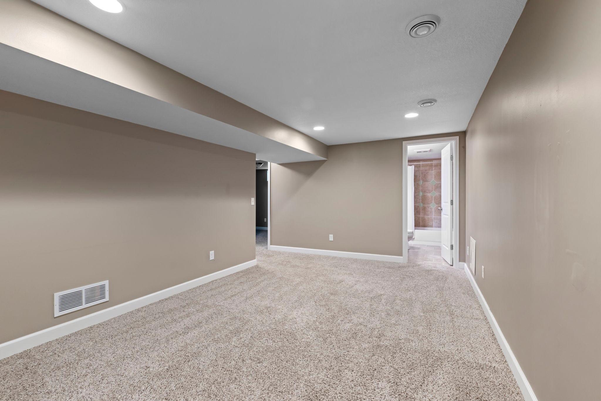 Lower family room + FULL bathroom