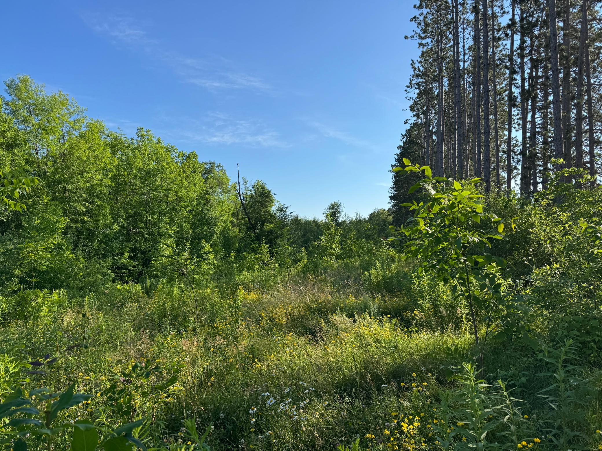 Property photo for TBD-2 N Riverside Road, Moose Lake, MN 55767