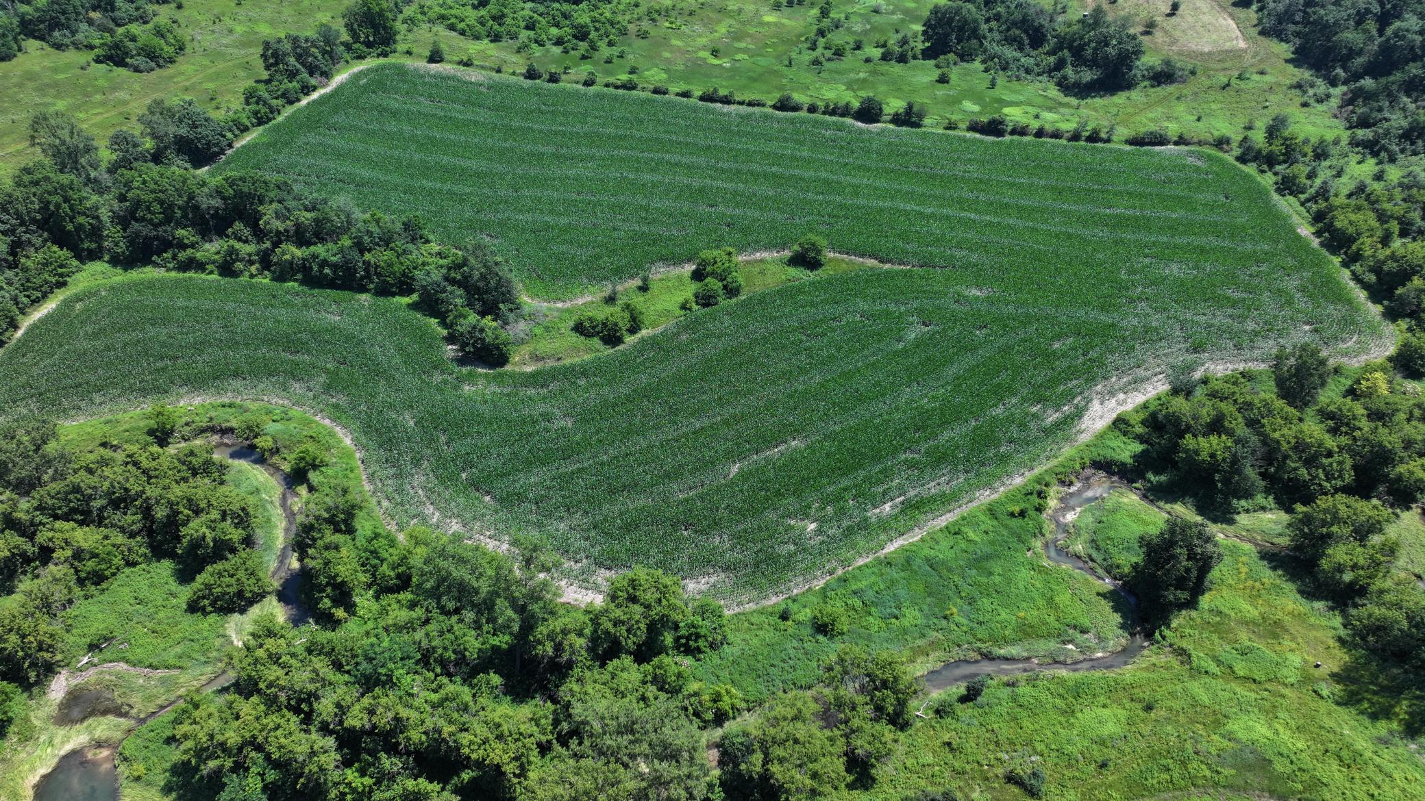 DJI_20260711123103_0751_D.JPG
