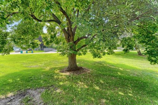 Mature trees in back provide privacy and shade