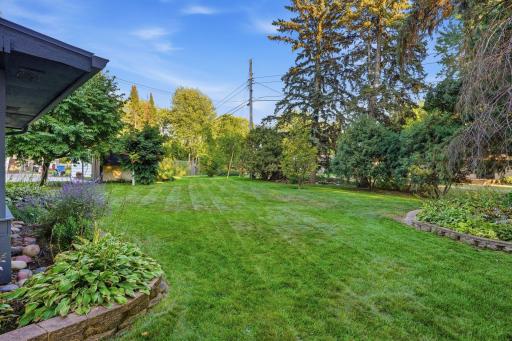 Spacious backyard!