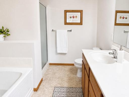 1246 Vernon Drive, Carver, MN 55315