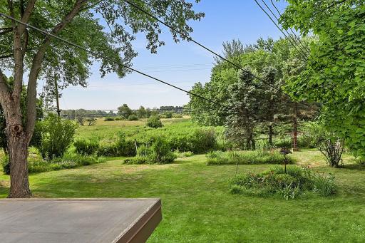 View From Deck - City Owned Green Space Offers Maximum Privacy