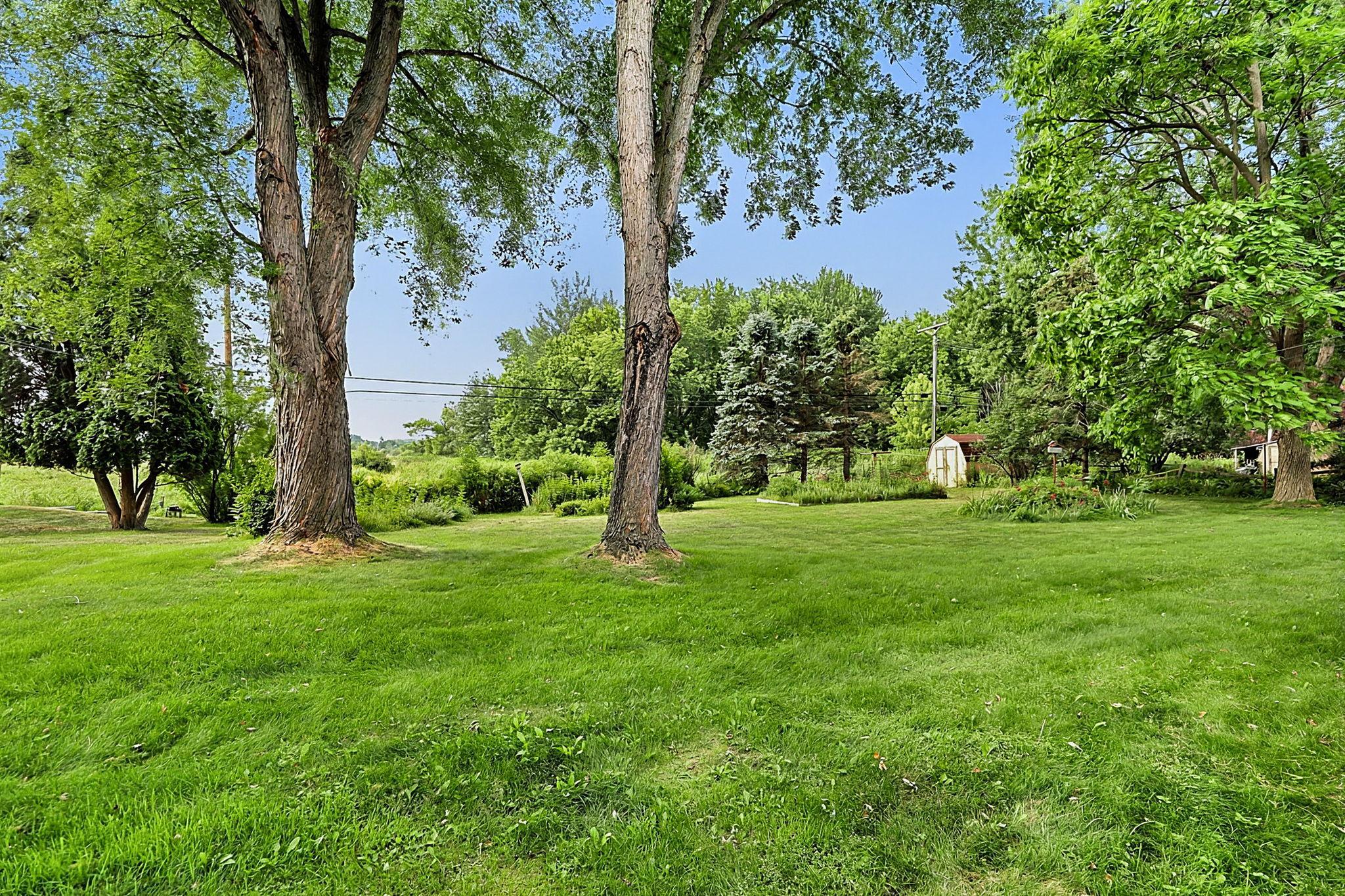 Mature Trees