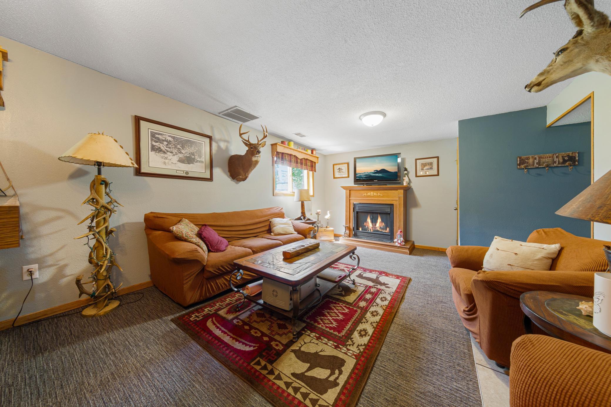 29 family room_lower.jpg