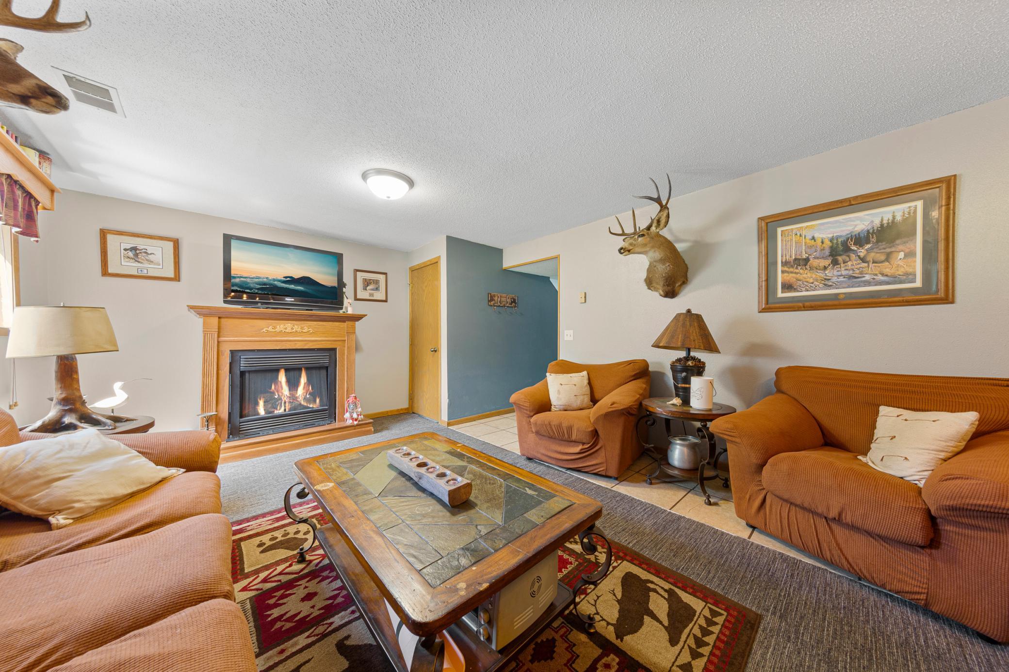 30 family room_lower.jpg