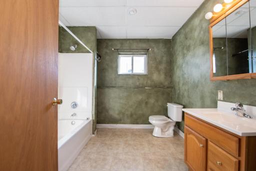 lower level full bathroom