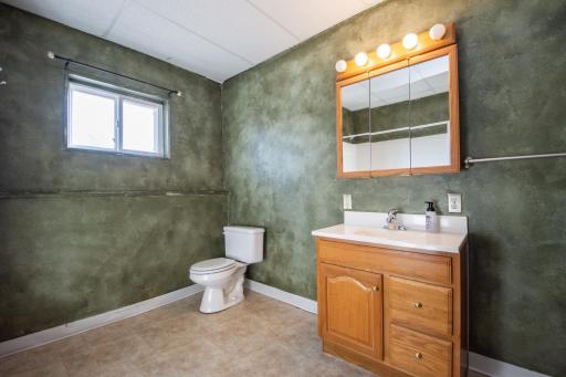 lower level full bathroom