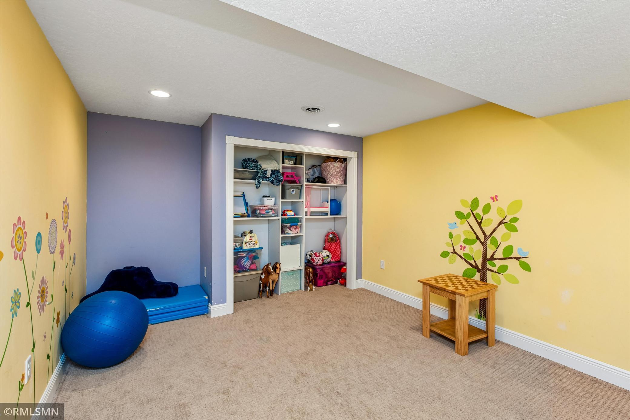 Lower level play room/workout room/office/flex space