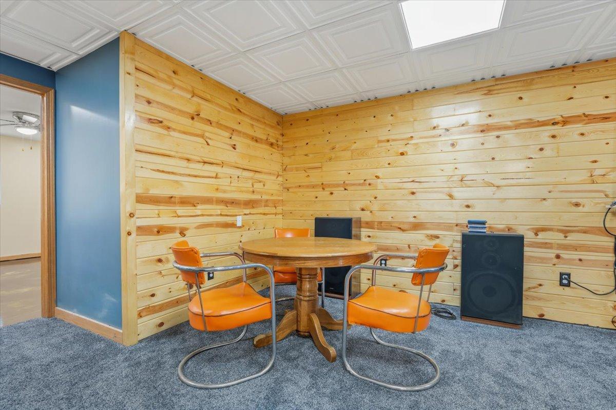 Basement Family Room