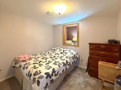 A bright lower-level bedroom with a large egress window offers comfortable accommodations for guests, family, or a private home office.