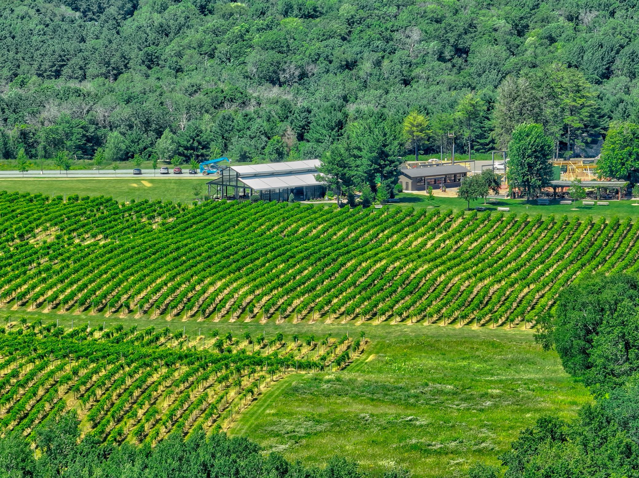 One of the area's charming vineyards is just steps away, perfect for an afternoon getaway