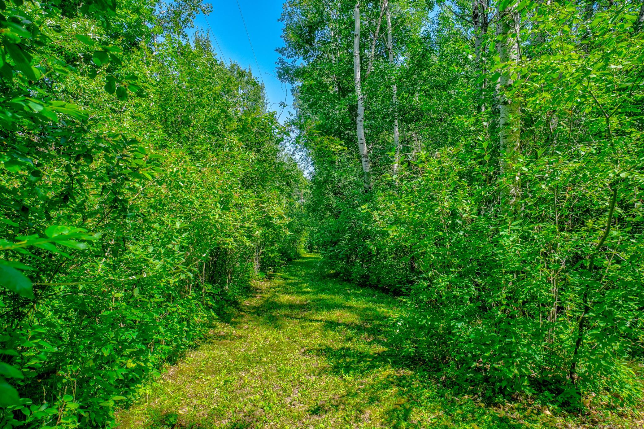 Enjoy private riding trails perfect for horses, ATVs, or a peaceful walk to take in the beauty of the outdoors