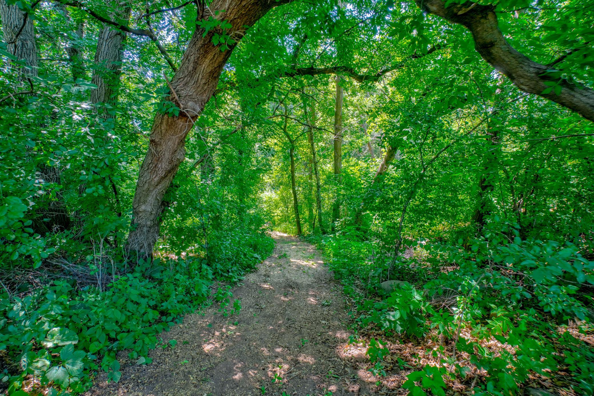 Discover your own private oasis with this breathtaking acreage retreat surrounded by lush natural beauty