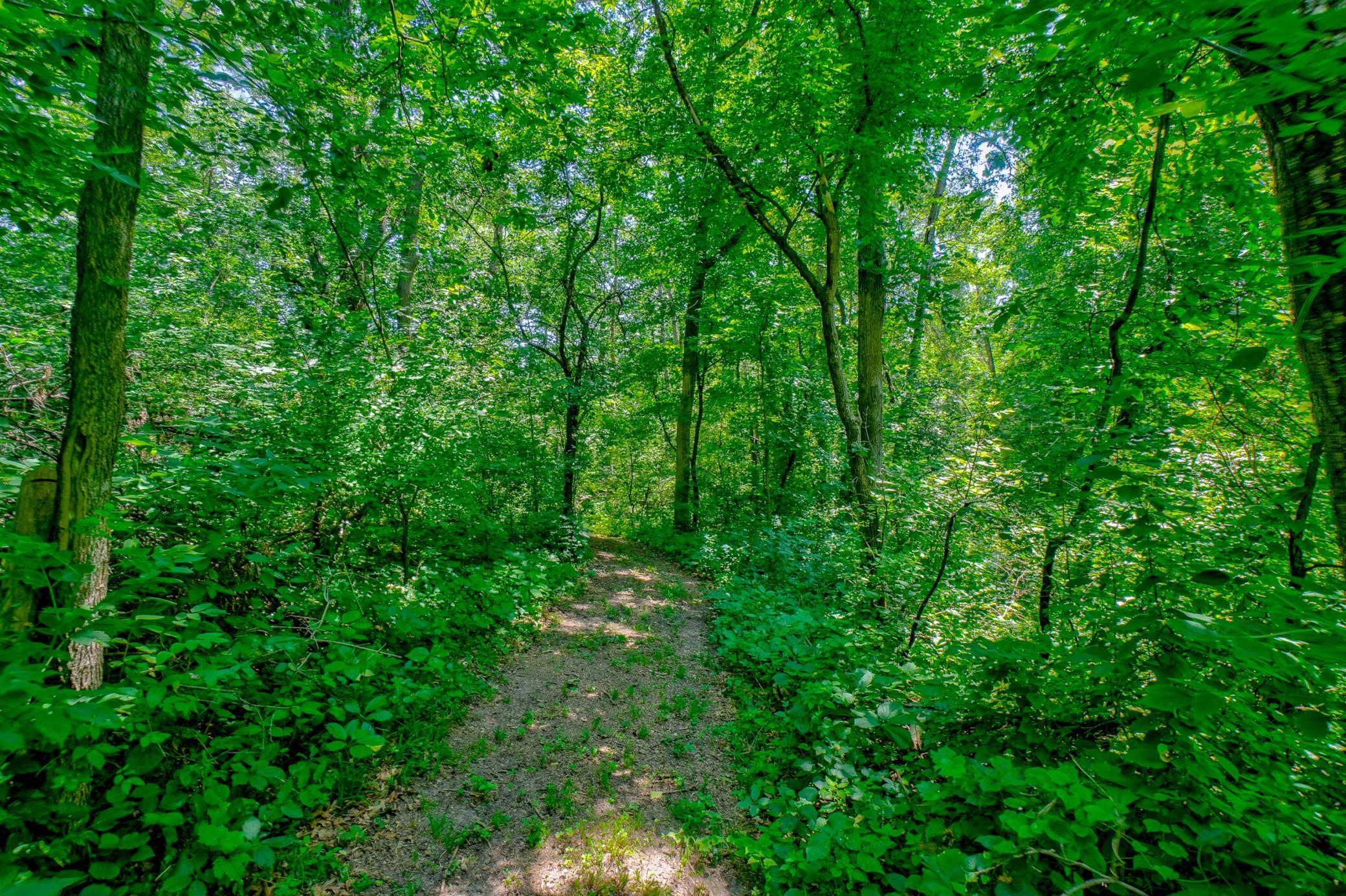 An enchanting equestrian paradise unfolds in the backyard and through the wooded trails
