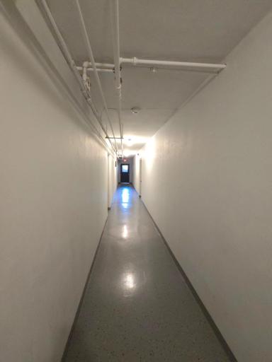 440.jpg