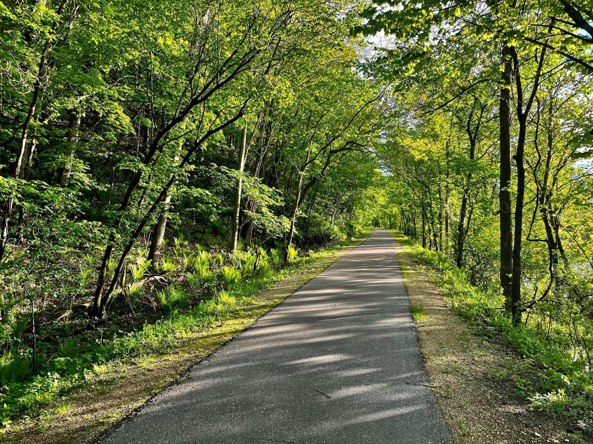 The Cannon Valley Trail is great for biking or running in the summer...