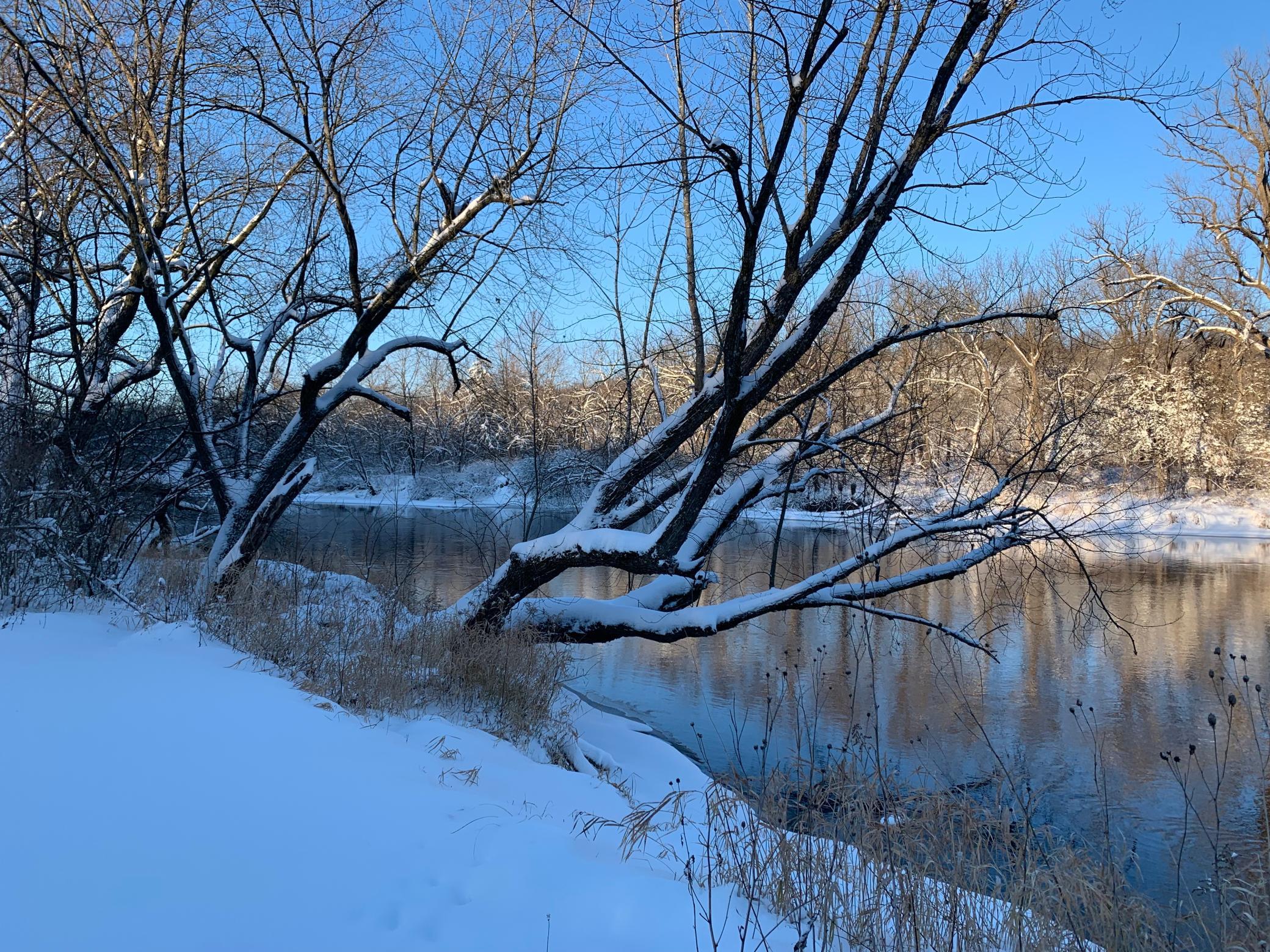A view of the Cannon River in the winter