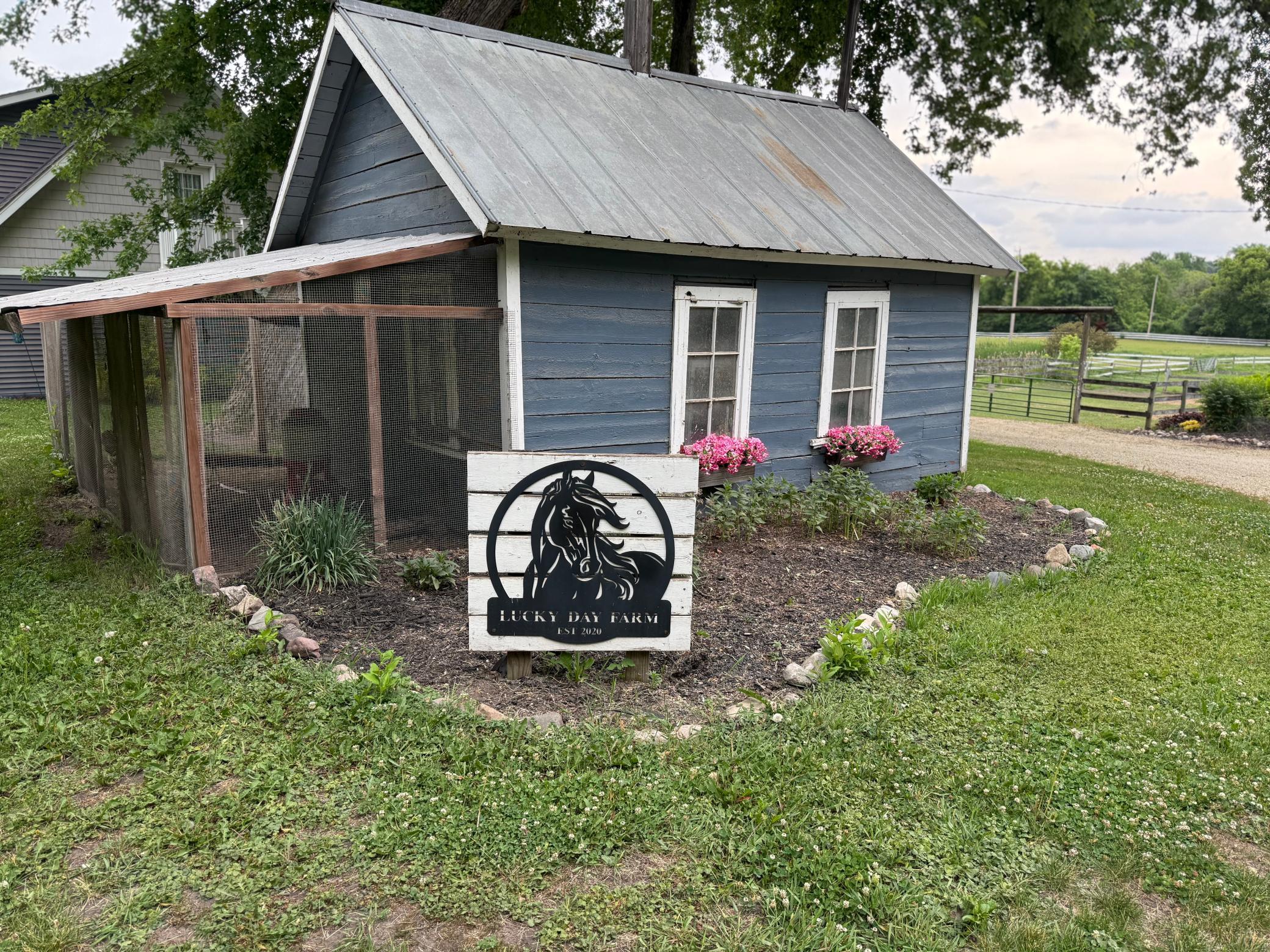 The chicken coop at Lucky Day Farm