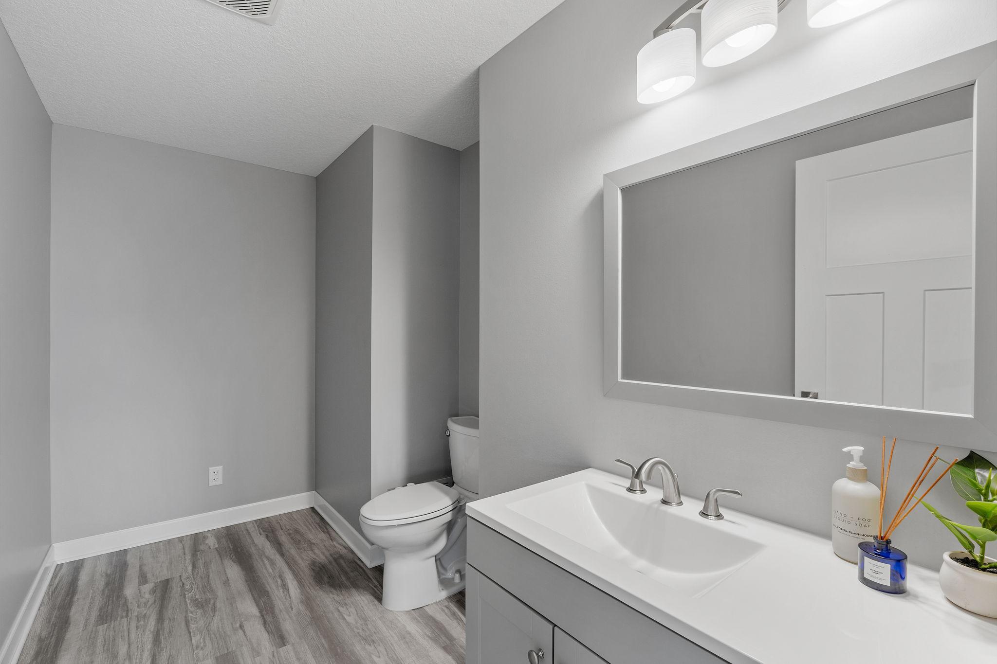 Lower level bathroom