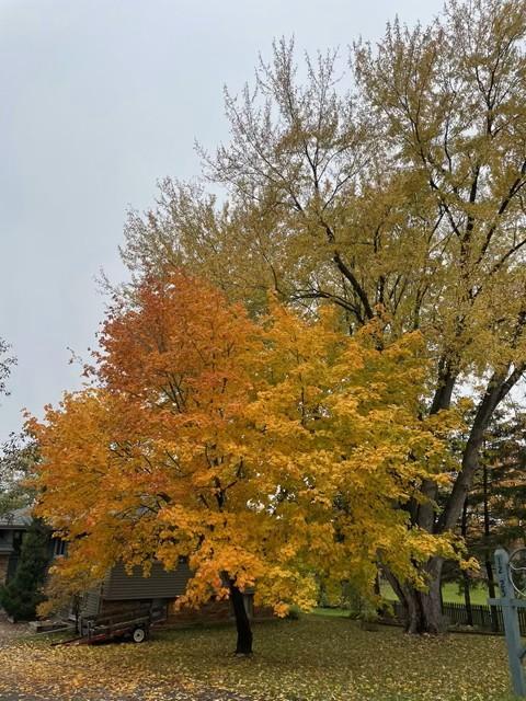 Lake life - enjoy all 4 seasons