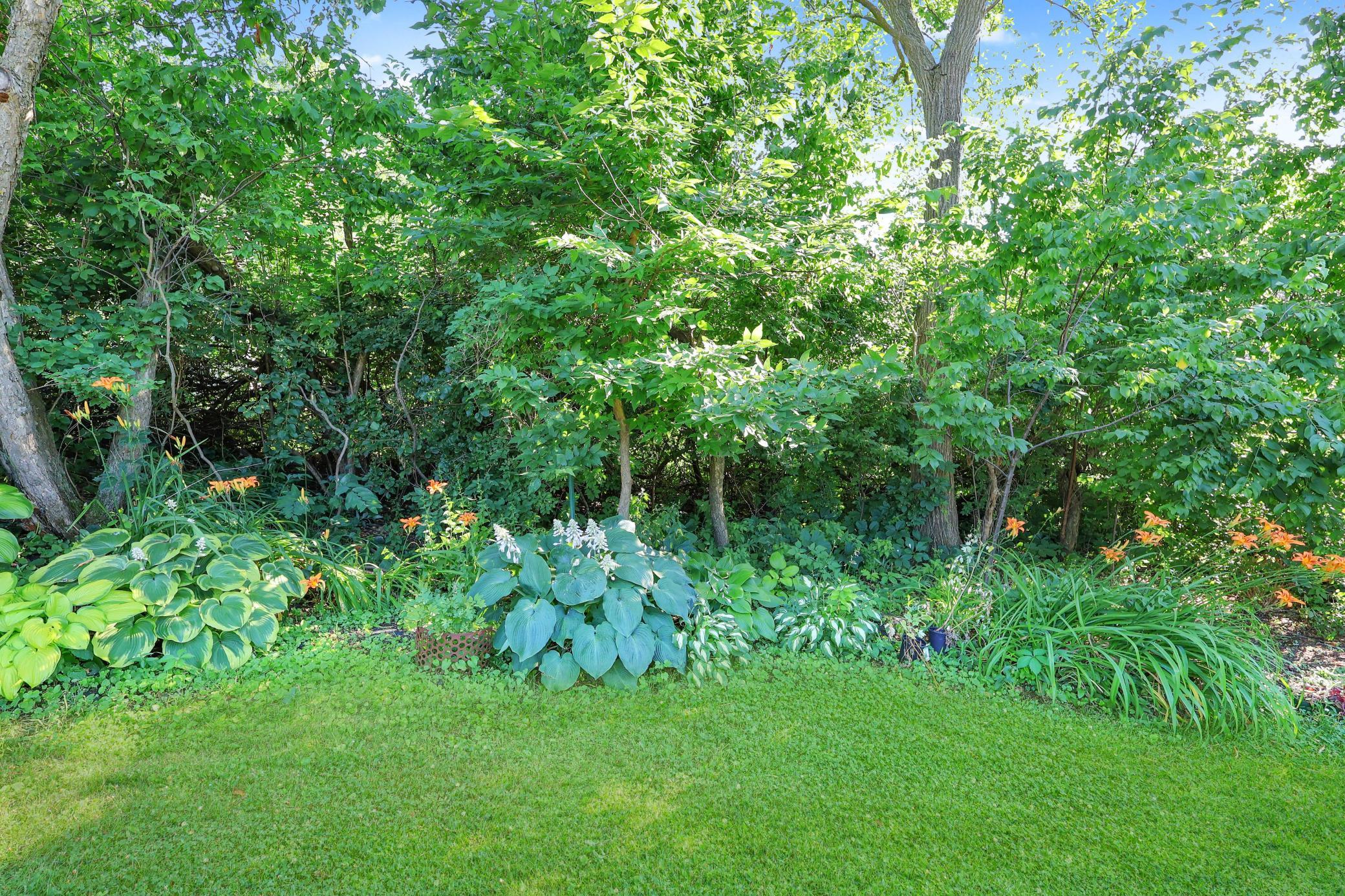 Lots of perennials throughout.jpg