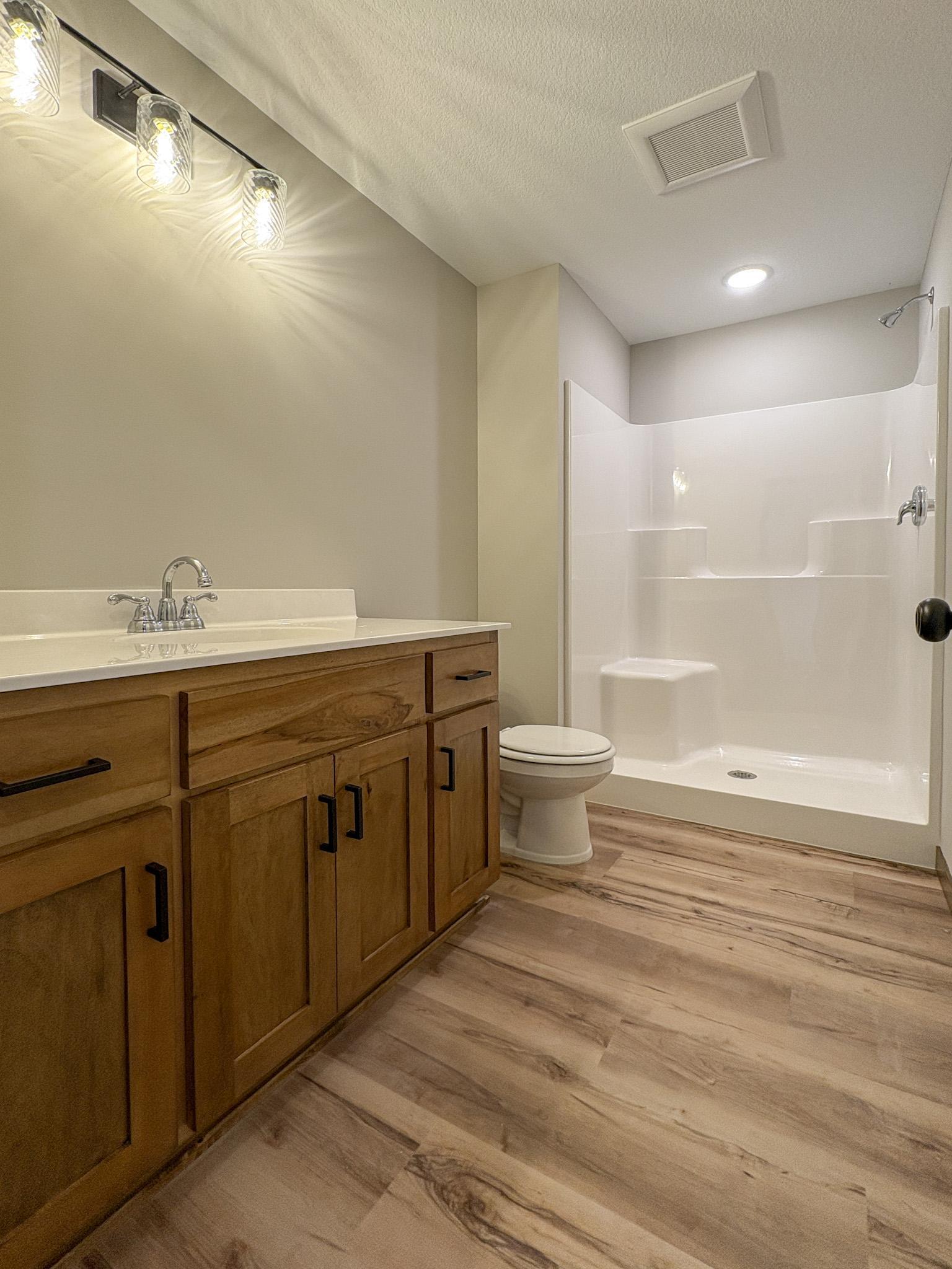 Lower Level Bath