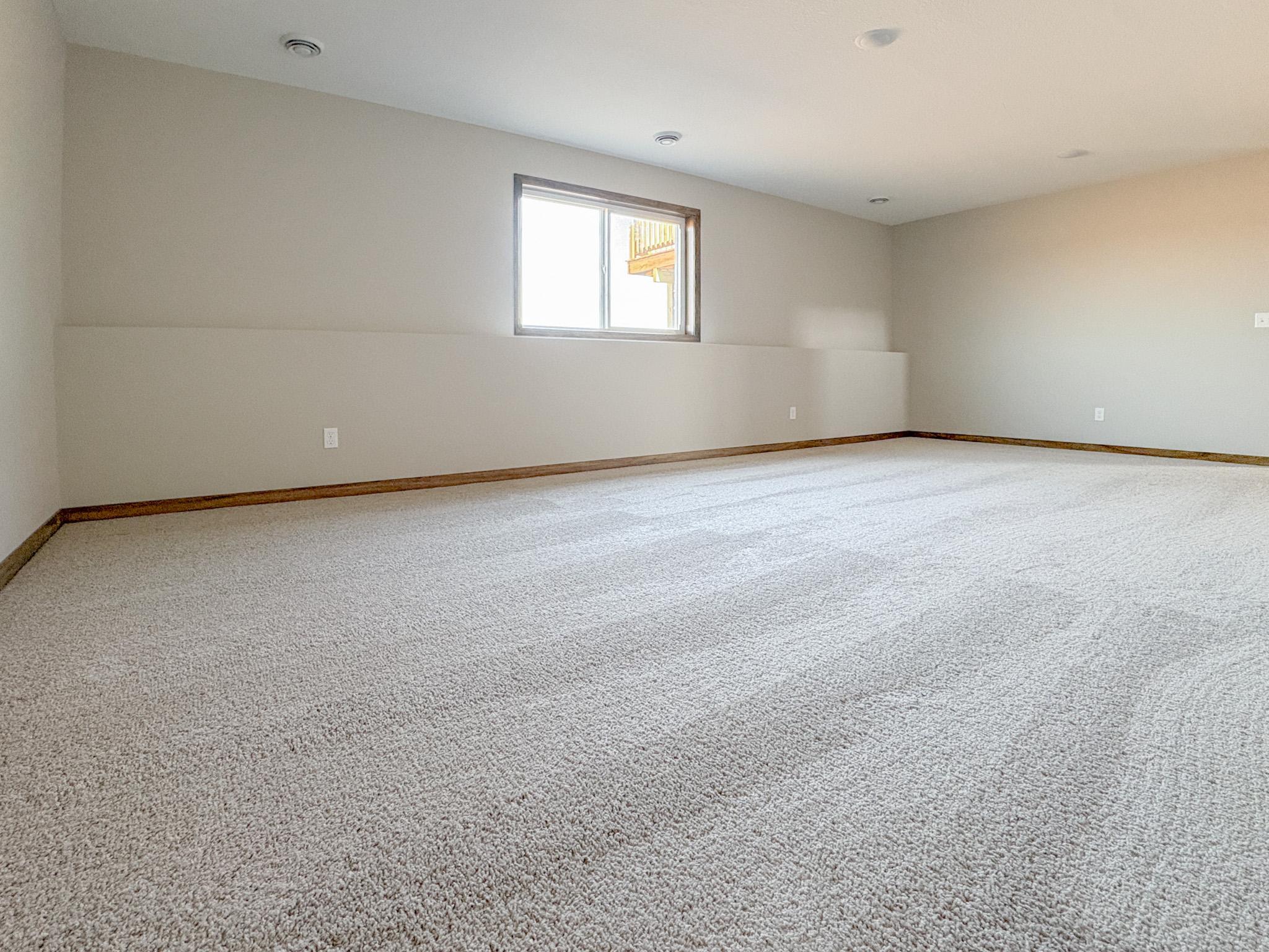 Lower Level Family Room