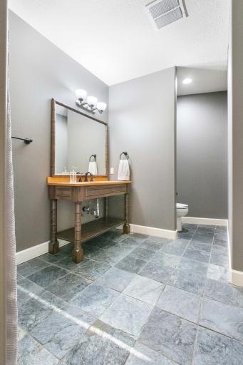 1886 Sandbar Circle, Waconia, MN 55387