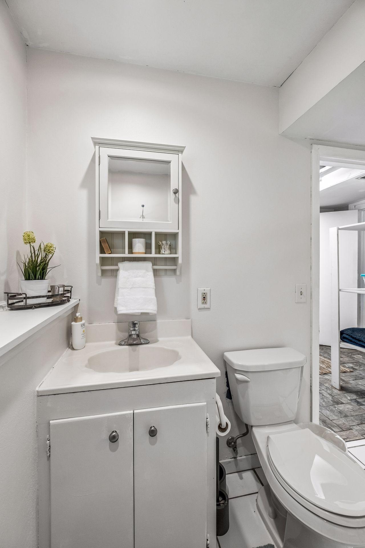 Lower level three quarter bath