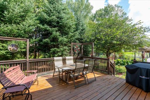 Back Deck 2.jpg
