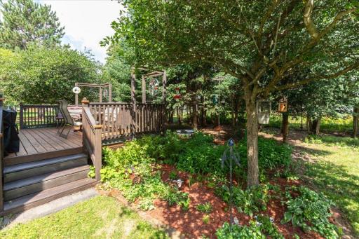 Back Yard.jpg