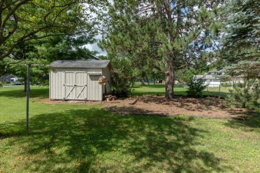 Shed and Side yard.jpg
