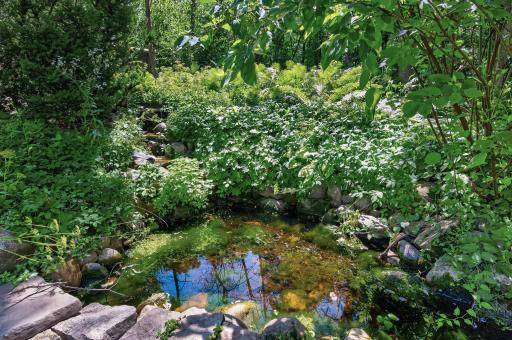Water feature