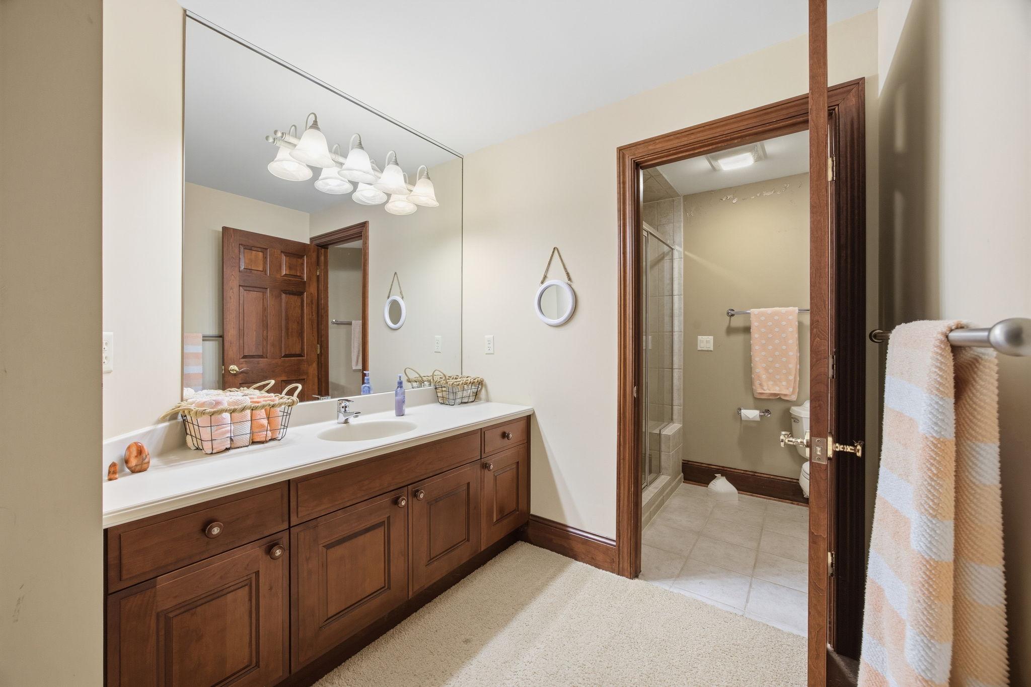 Lower level bathroom ensuite