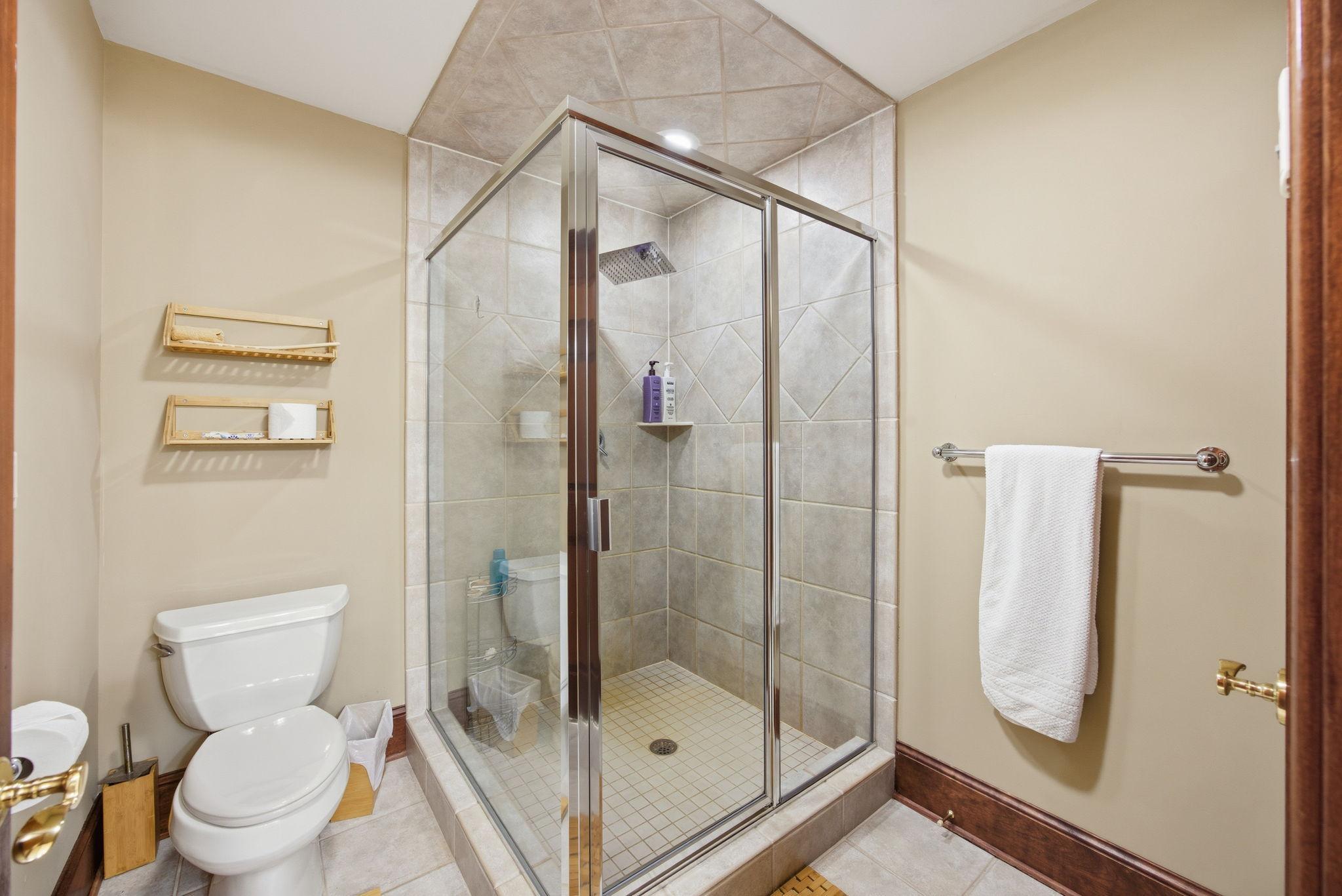 Lower level bathroom ensuite