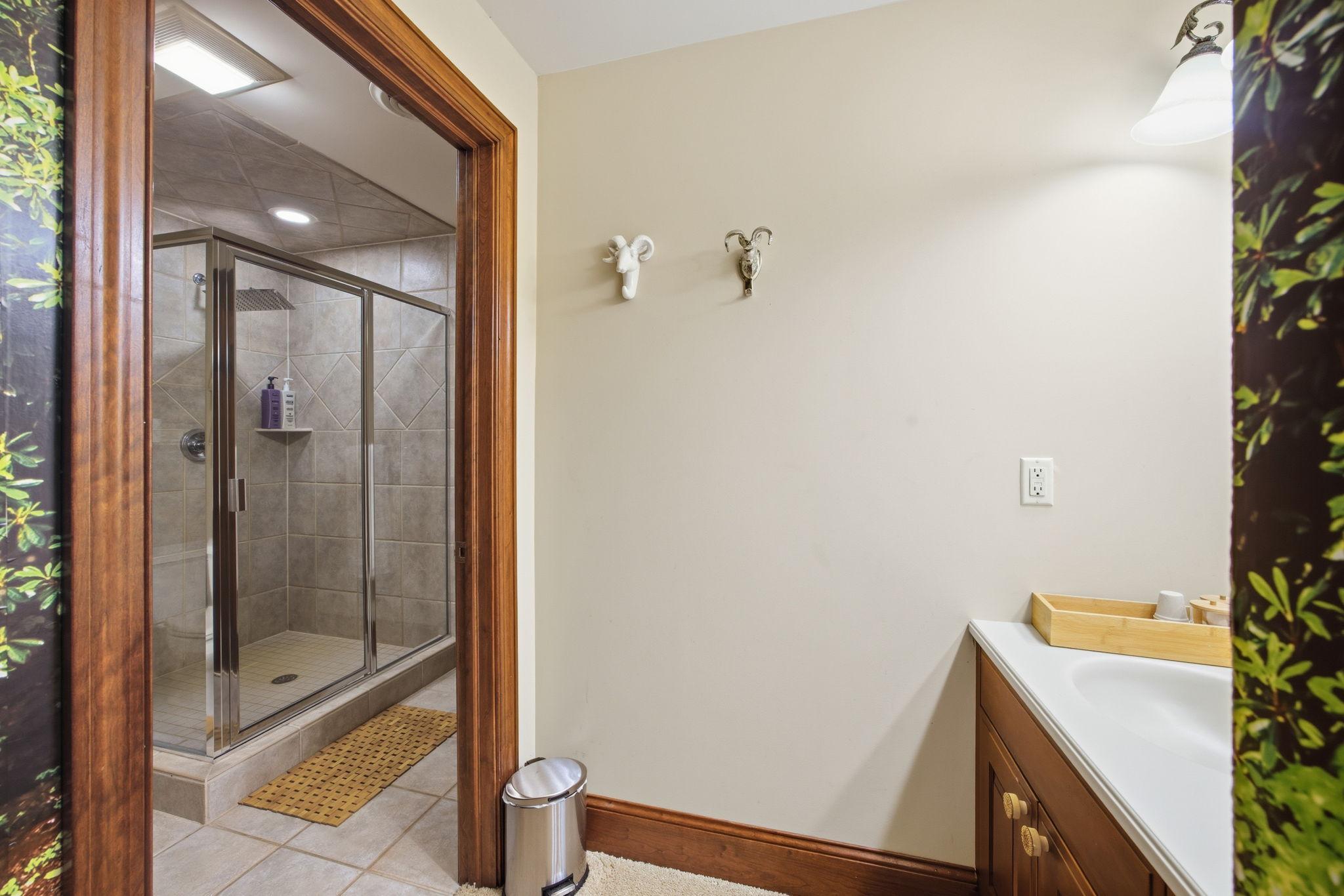 Lower level bathroom ensuite
