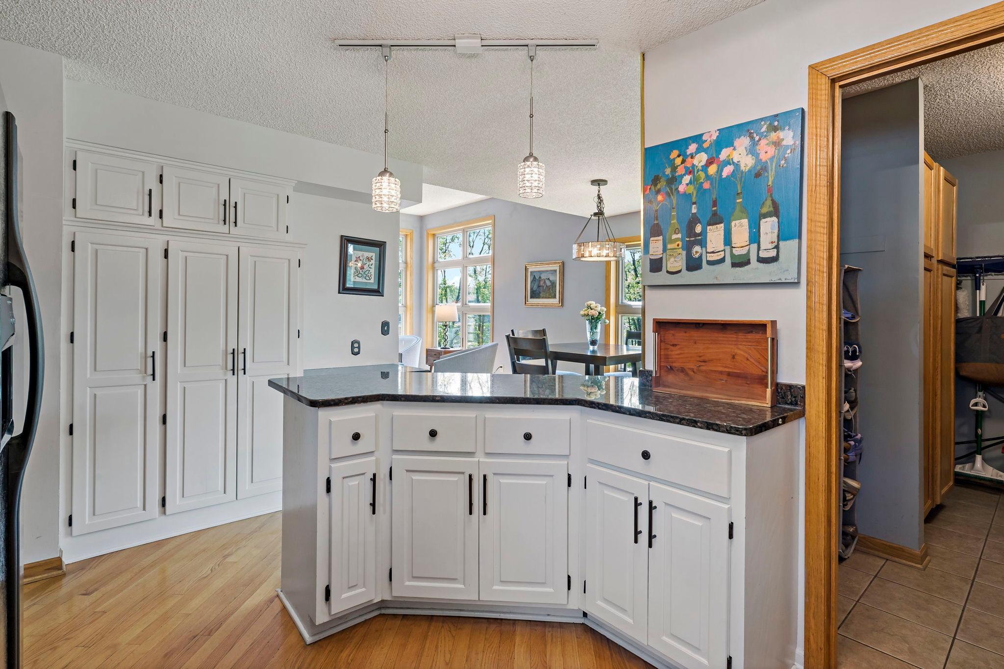 27-web-or-mls-630 Sullivan Ln Columbia Heights MN_0052.jpg