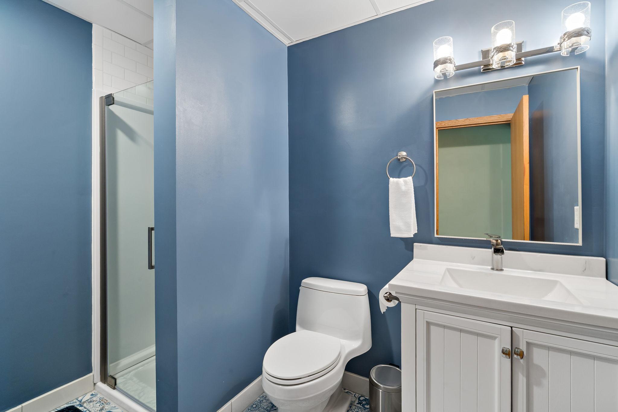 63-web-or-mls-630 Sullivan Ln Columbia Heights MN_0062.jpg