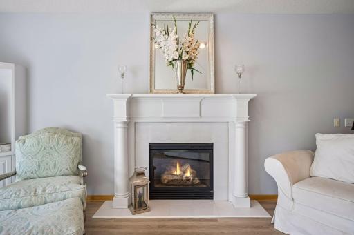 Gas fireplace in the living room