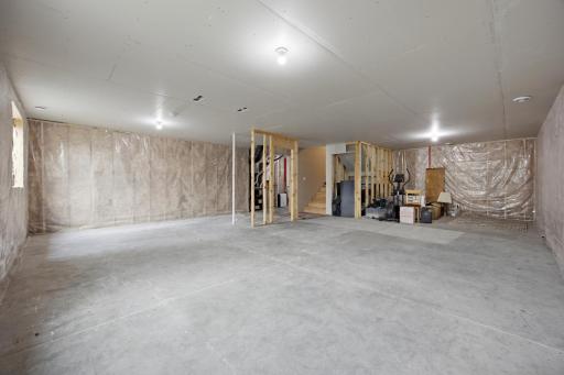 Unfinished Basement