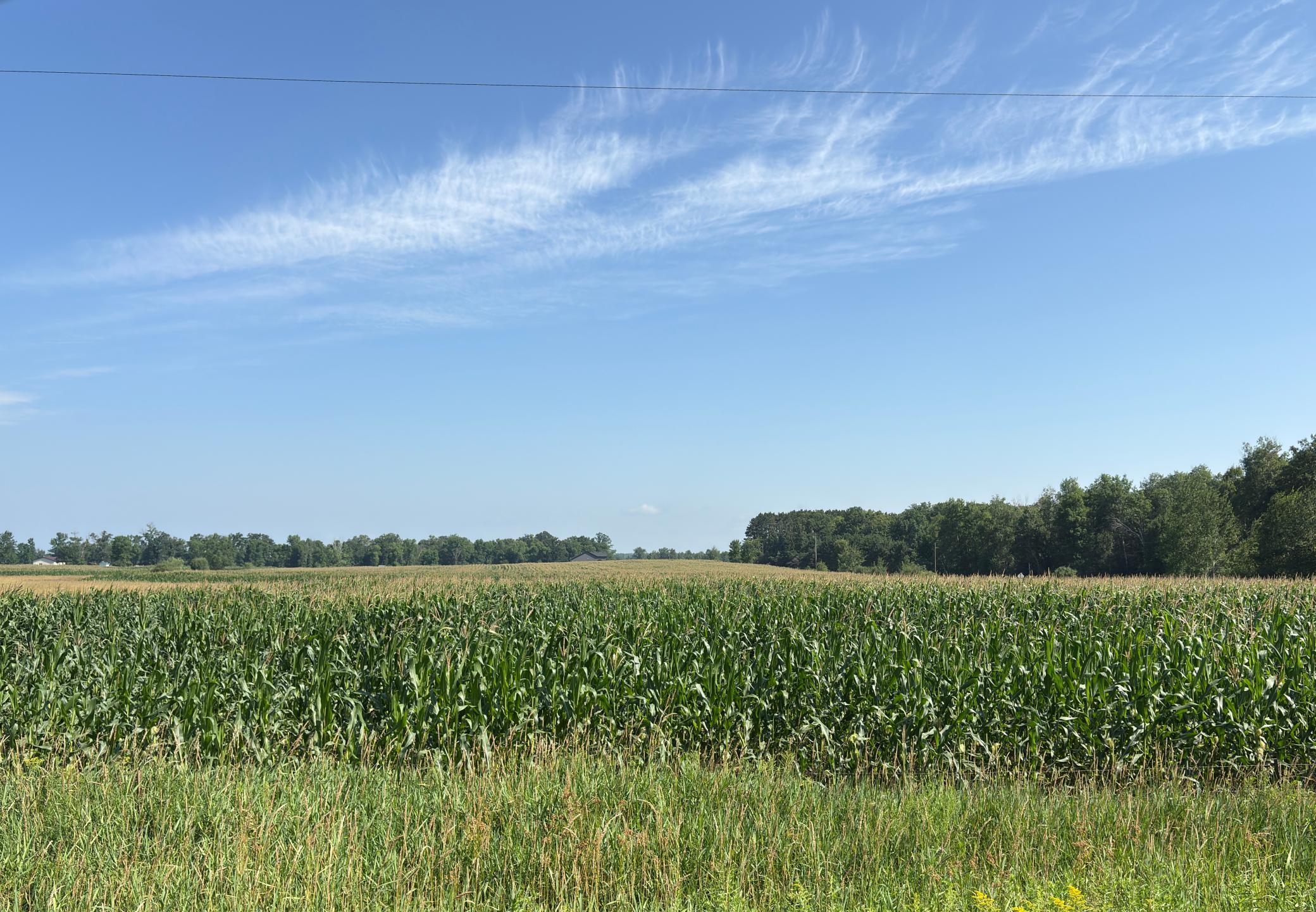 IMG_3695.JPG