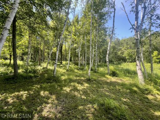 38539 Clover Circle, Hinckley, MN 55037