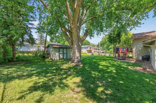The expansive backyard offers plenty of open green space, mature shade trees, and a storage shed for tools and outdoor equipment.
