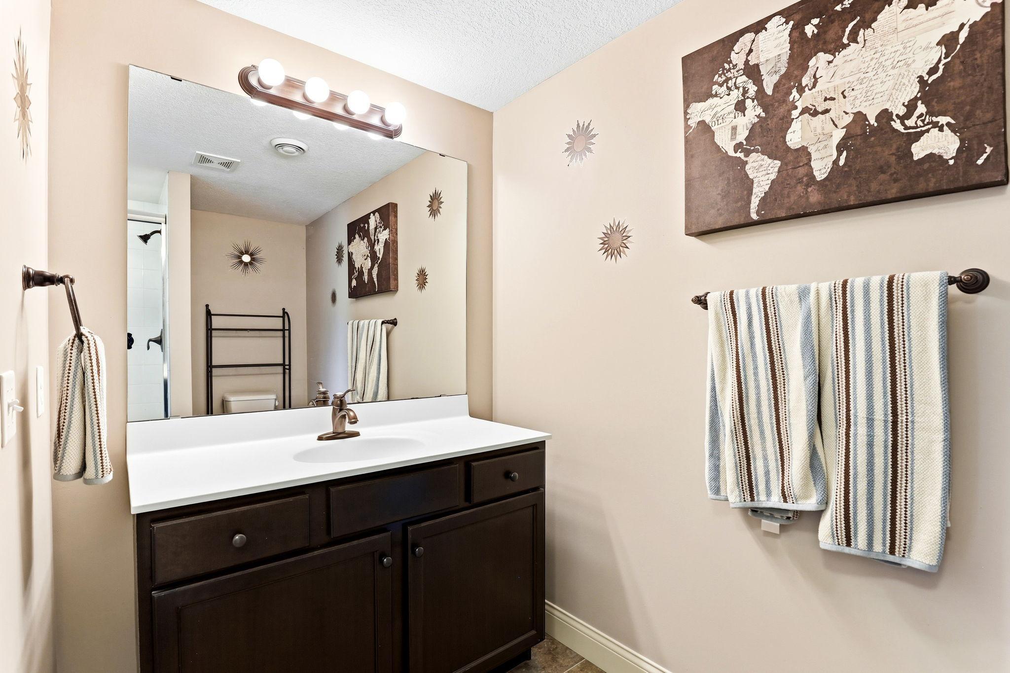 Basement bath vanity boasting rich dark cabinetry, large plate mirror, and updated bronze hardware.