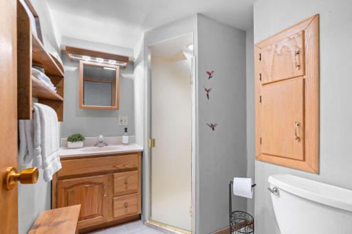 Three-quarter basement bathroom