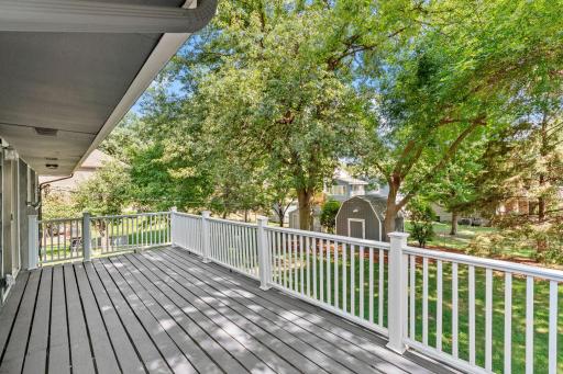 View of the yard from the deck
