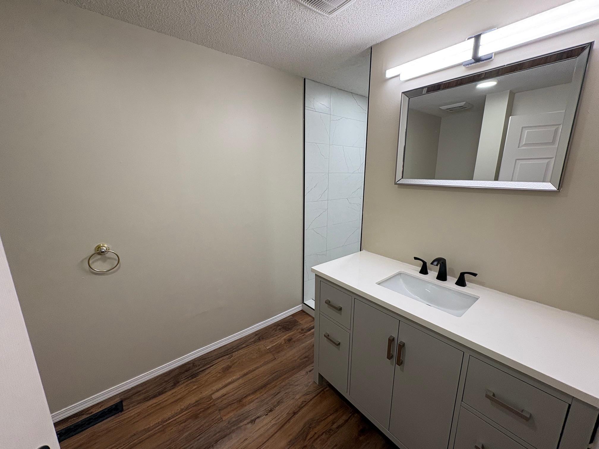 New vanity, mirror, light