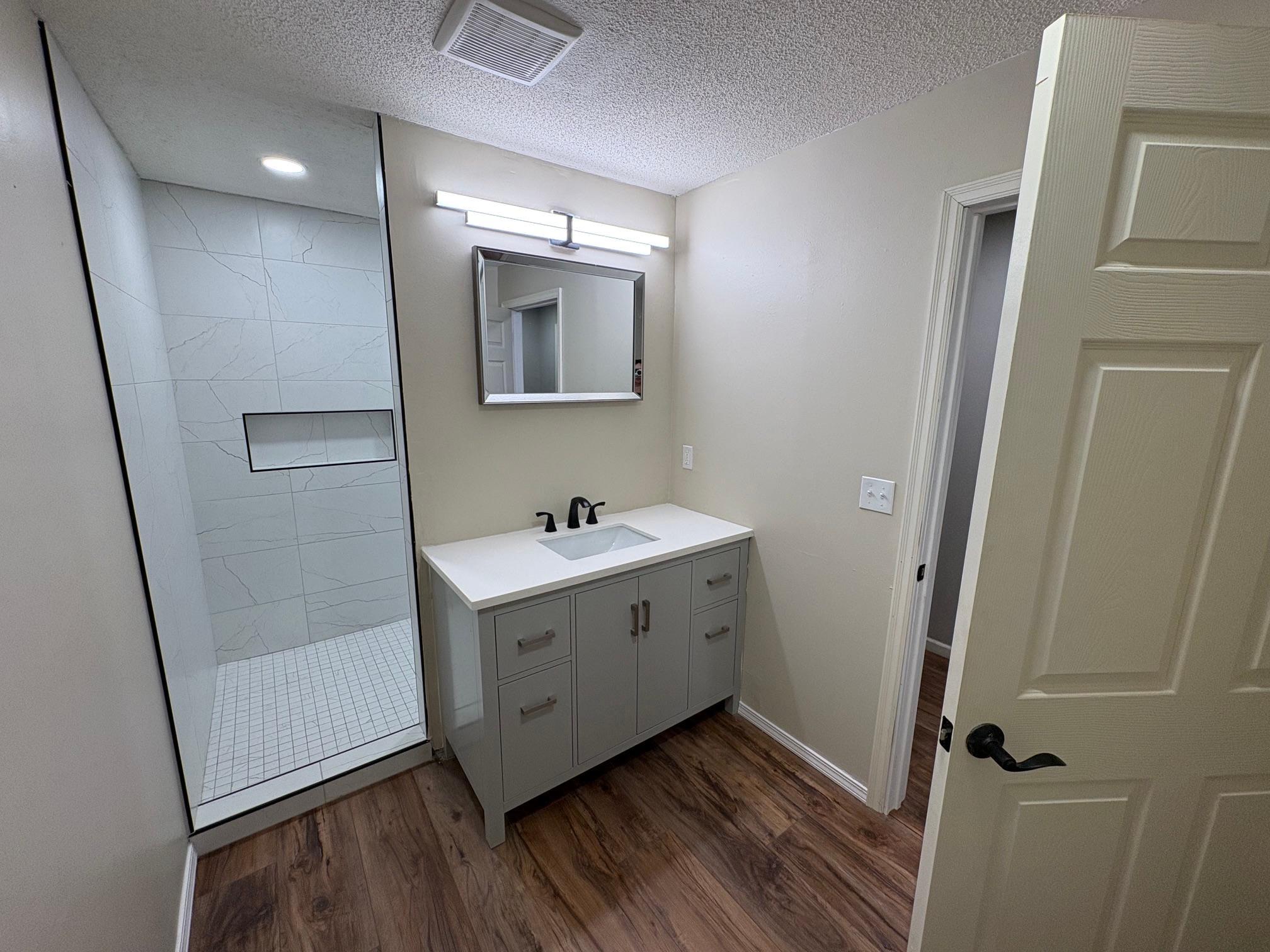New tile shower & vanity